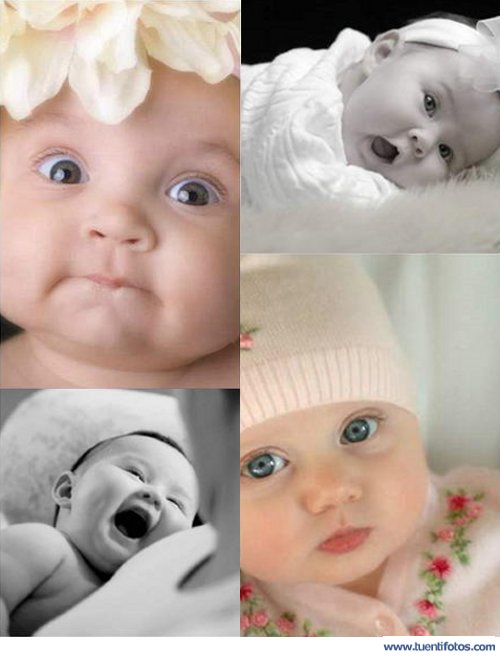 Personas de Bebes Para Comerse A Besos