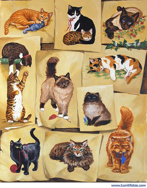 Animales de Dibujos De Gatos