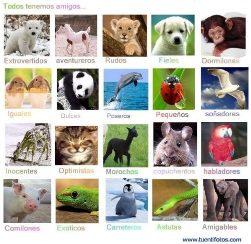 Animales de Todos Tenemos Amigos... Extro