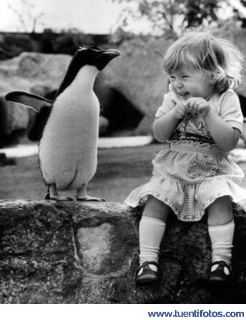 Tiernas de Amiga Del Pinguino