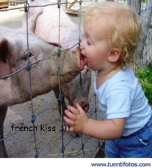 Tiernas de Beso al cerdito