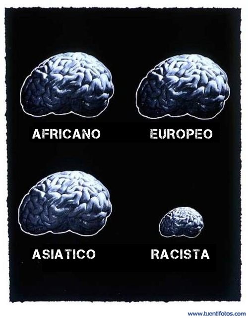 Frases de Cerebro Racista