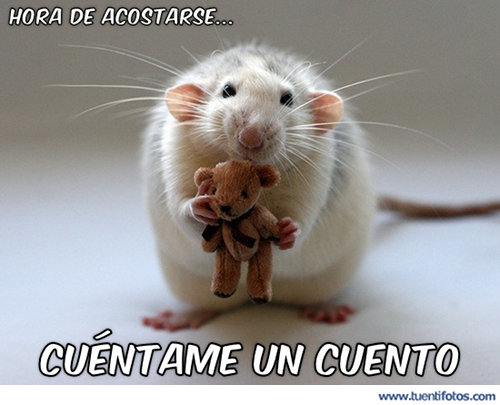 Animales de Cuentame Un Cuento