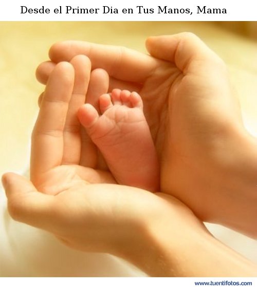 Tiernas de Desde el Primer Dia en Tus Manos