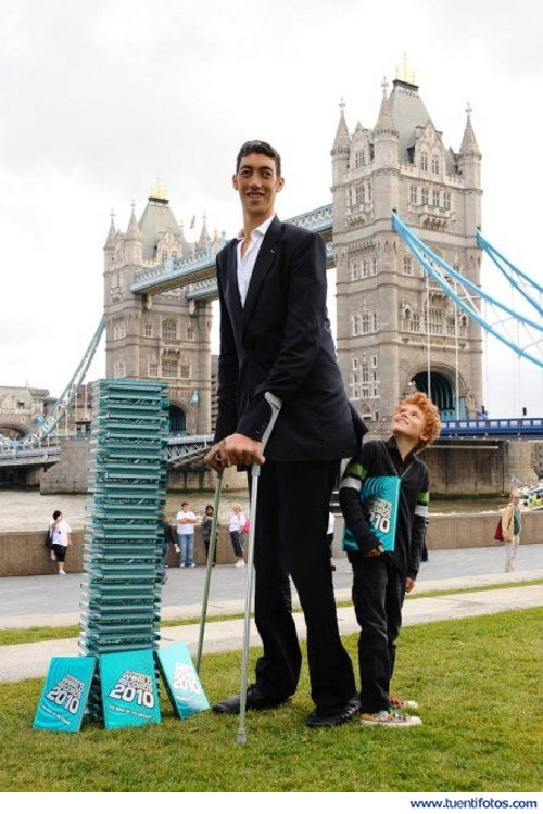 Increibles de El Hombre Más Alto Del Mundo
