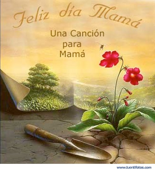 Eventos de Fotos Dia de la Madre 1