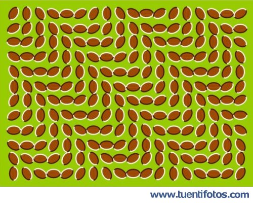 Ilusiones de Hojas Se Mueven
