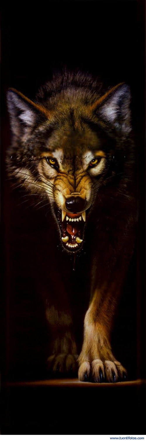 Animales de Lobo Oscuro