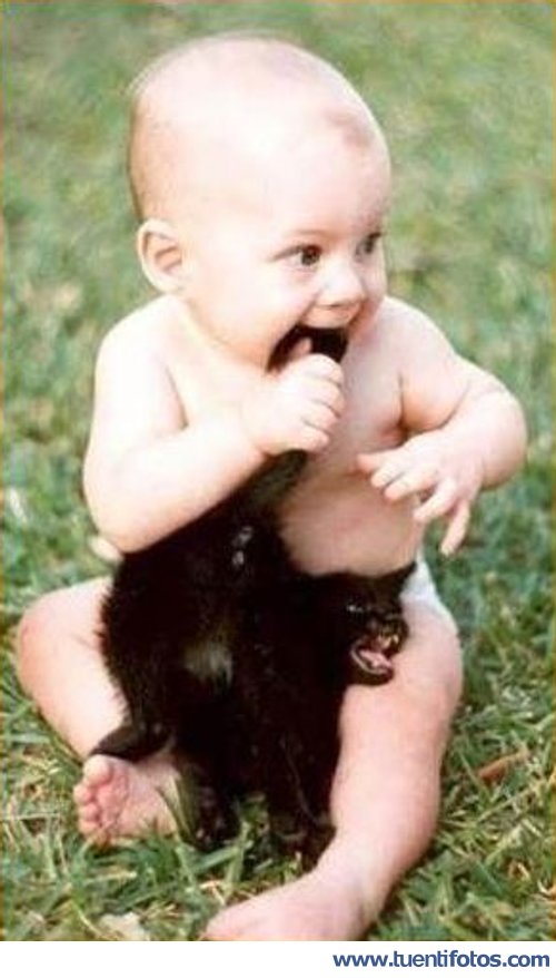 Tiernas de Mordiendo Al Gato