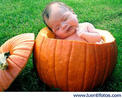 Tiernas de Niño Dormido En Calabaza.jpg