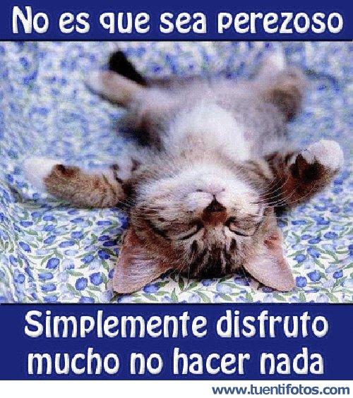 Tiernas de No Es Que Sea Perezoso