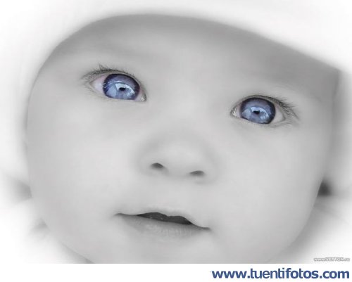 Tiernas de Ojos De Un Niño