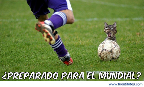 Frases de Preparado Para El Mundial