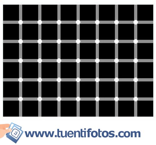 Ilusiones de Puntos Blancos Y Negros