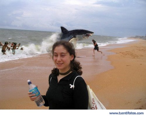 Increibles de Tiburon Playero
