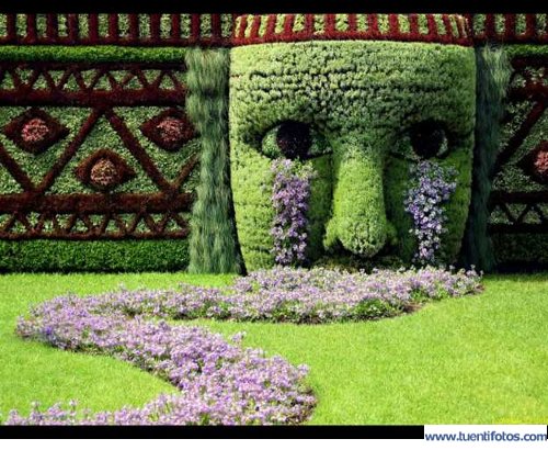 Tiernas de Un Jardin Que Llora
