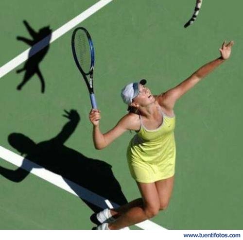 Animales de A Falta De Pelota