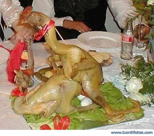 Animales de Amor Mas Alla De La Muerte