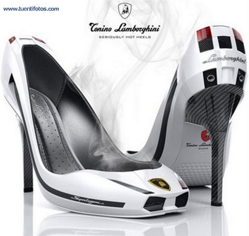 Ropa de Coche Zapato