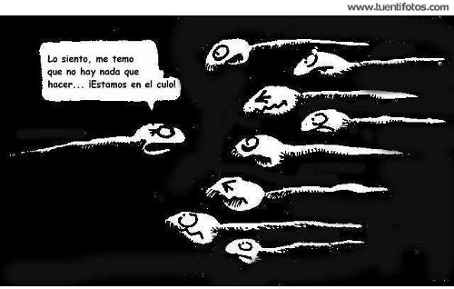 Chistes de Espermatozoides Perdidos