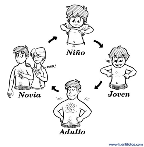 Bromas de Etapas Del Hombre