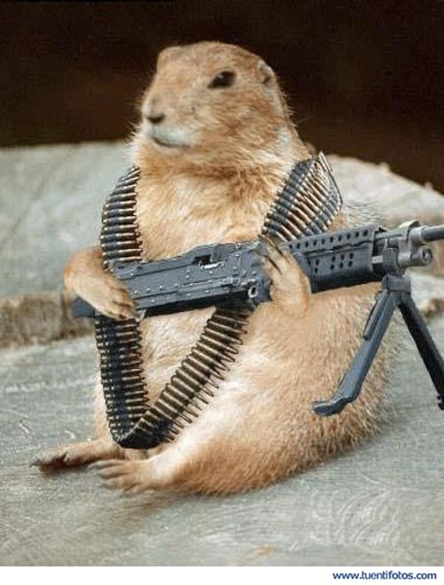 Animales de Hamster Guerrero