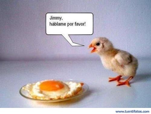 Animales de Jimmy, Hablame Por Favor
