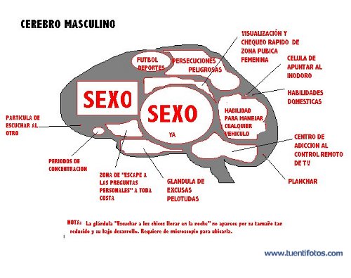 Feminista de Tercer Cerebro Masculino