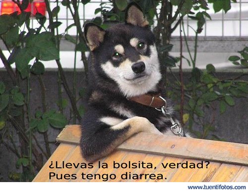 Animales de Pues Tengo Diarrea