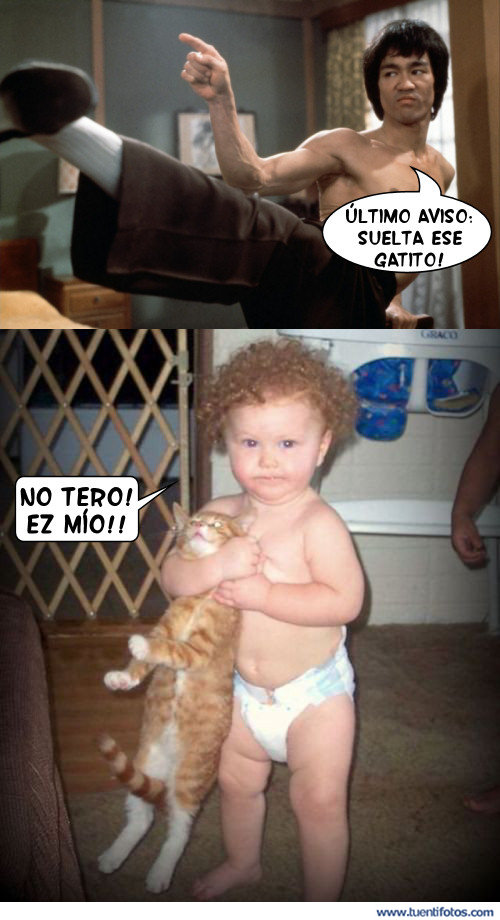 Bromas de Suelta A Ese Gatito