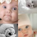 Miniatura de Bebes Para Comerse A Besos