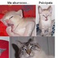Miniatura de Estados de Animo II