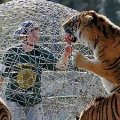 Miniatura de Ingenio Para Ir de Safari