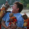 Miniatura de El Macaco Se Enfada