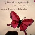 Miniatura de No Me Cortaras las Alas