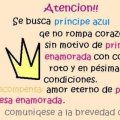 Miniatura de Se Busca Principe Azul