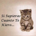 Miniatura de Si Supieras Cuanto Te Quiero