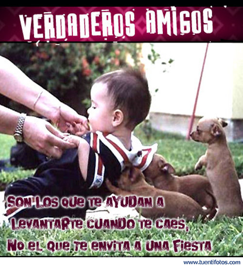 Amistad de Amigos Te Ayudan A Levantarte