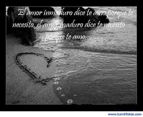 Frases de El Amor Inmaduro