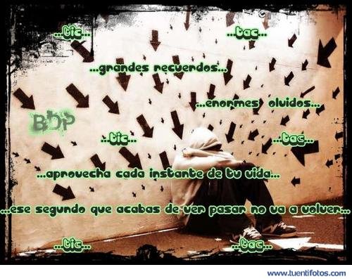 Textos de Aprovecha Cada Instante de Tu Vida