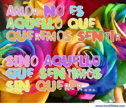 Amor de Aquello Que Sentimos Sin Querer