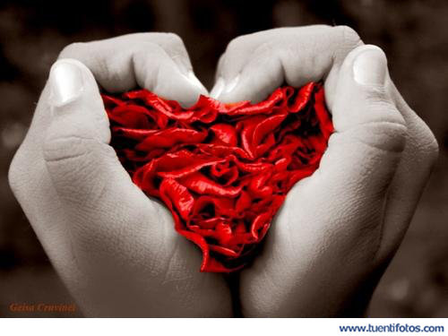 Amor de Corazón De Pétalos