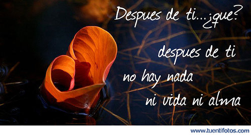 Amor de Después De Ti No Hay Nada