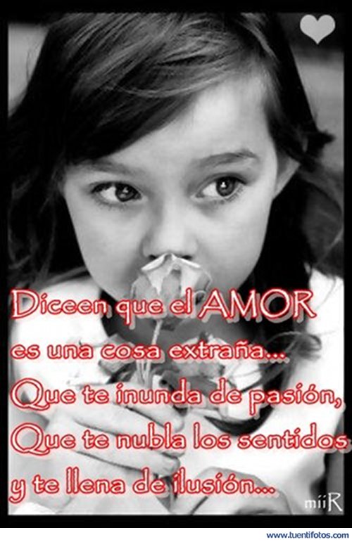 Amor de Dicen Que El Amor
