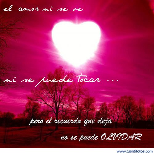 Amor de El Amor No Se Ve