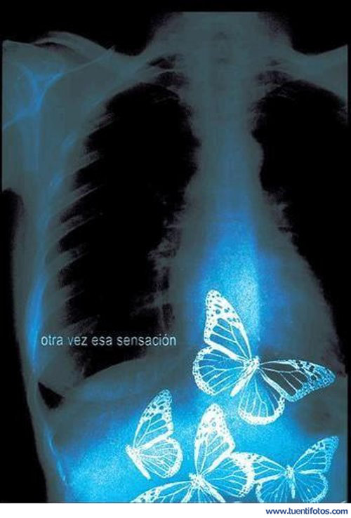 Amor de Mariposas En El Estómago