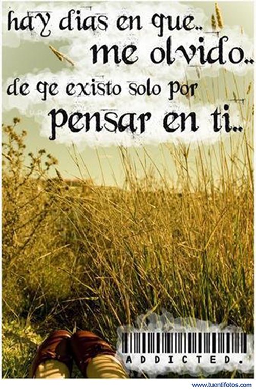 Amor de Me Olvido Que Existo