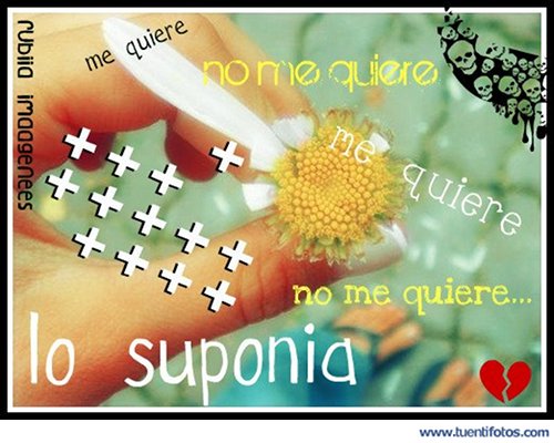 Desamor de Me Quiere No Me Quiere