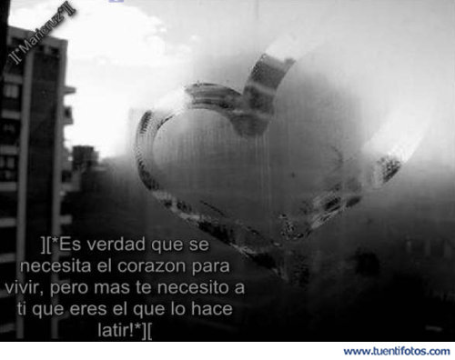 Amor de Se Necesita Para Vivir