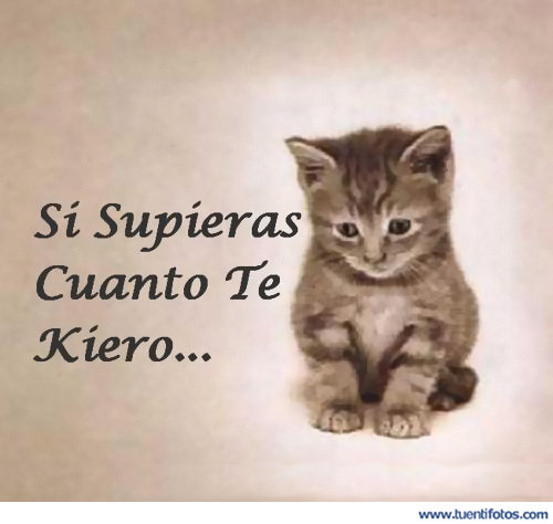 Frases de Si Supieras Cuanto Te Quiero